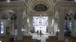 Daily Mass