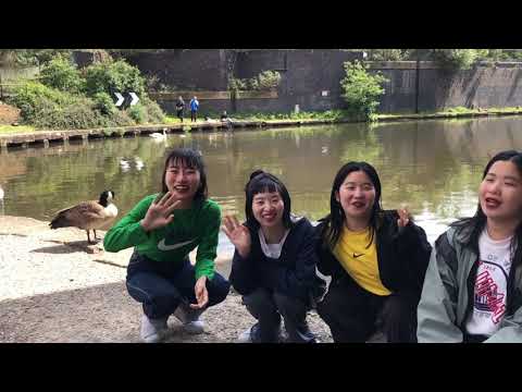 【コメント動画】CHAI