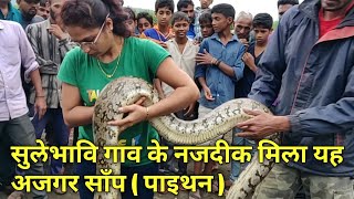 बहोत बरस बाद बेलगाम में मिला यह अजगर साँप.. Python rescued at Sulebhavi Village Belgaum.