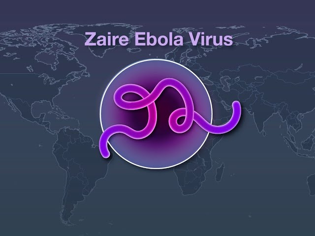 Vaccines for Zaire Ebola Virus Disease | NEJM class=