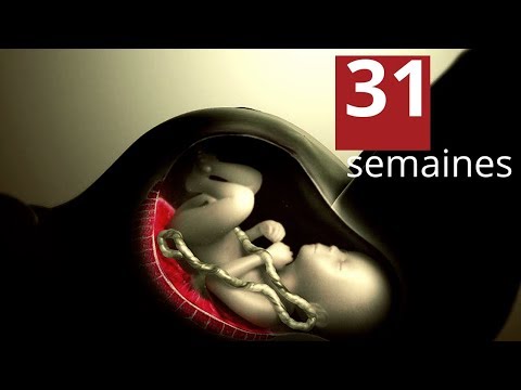 Vidéo: 31 Semaines De Grossesse : Sensations, Développement Fœtal