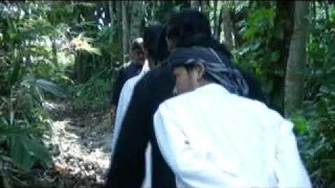 PUCUK AWI . H DODI MANSYUR