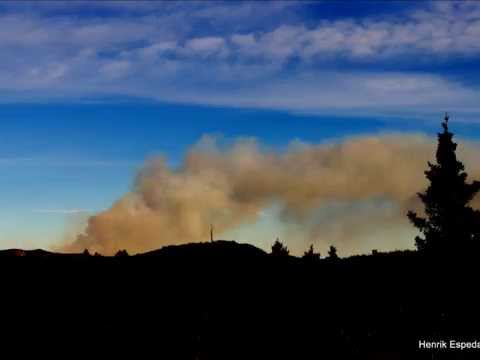 Video: Hvorfor er kontrollerte branner bra?