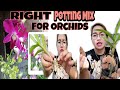 HOW TO REPOT AN ORCHID|HOW TO MAKE POTTING MIX FOR ORCHIDS|PAANO MAGLIPAT NG ORCHID