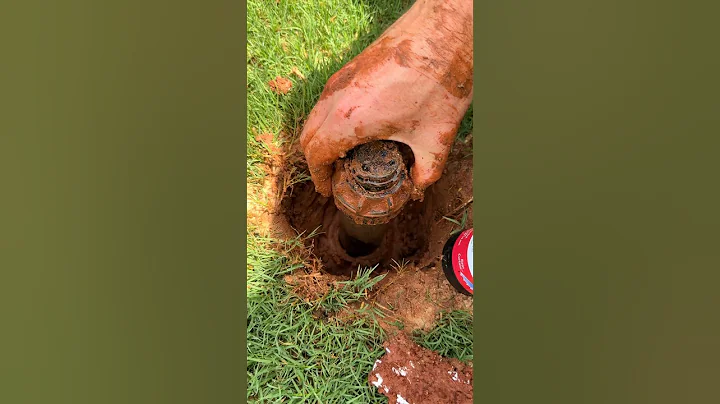 Replace Sprinkler Head in 5 Mins - Easy DIY Fix