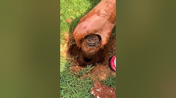 Replace Sprinkler Head in 5 Mins - Easy DIY Fix