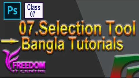 07.Selection Tool (Adobe  Photoshop  cc 2019) Bangla Tutorials.