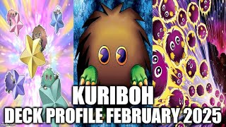 KURIBOH DECK PROFILE (FEBRUARY 2025) YU-GI-OH! - YouTube