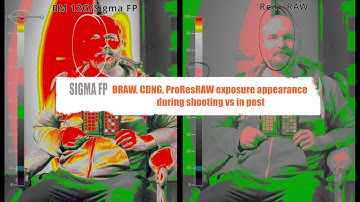 Sigma FP - BRAW, CDNG, ProResRAW exposure appearance during shooting vs in post