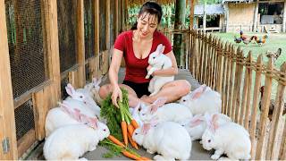 ❤️ Feeding and Caring for My Lovely Rabbits Every Day 🐇 Performing Farm Work | Diet's Story