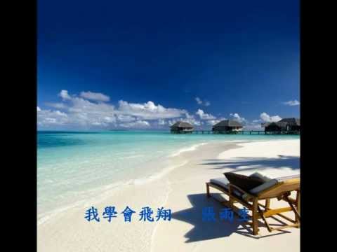 我學會飛翔 - 張雨生