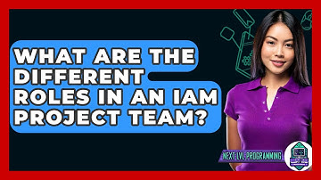 What Are The Different Roles In An IAM Project Team? - Next LVL Programming