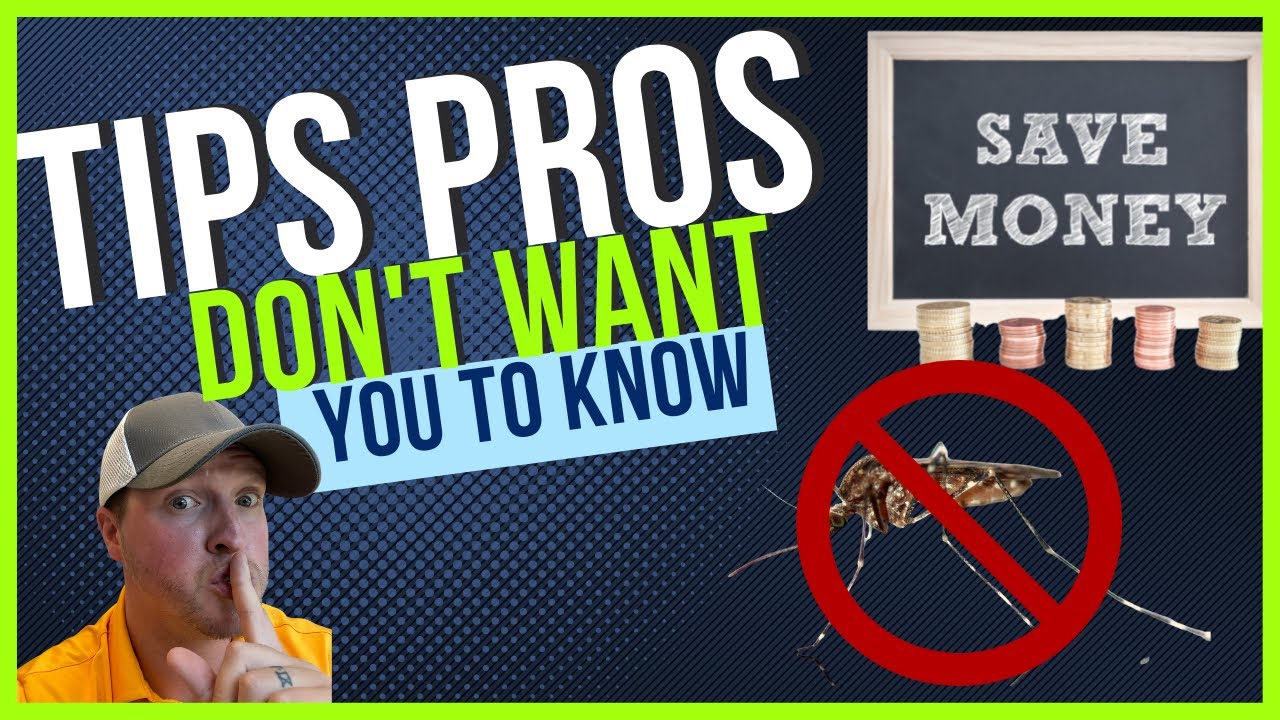 Mosquito Killing: Bug Zappers Verses A Bug Fan