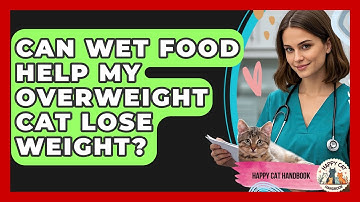 Can Wet Food Help My Overweight Cat Lose Weight? - Happy Cat Handbook