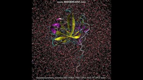 Molecular dynamics. 1 of 3. PDBid: 7N87.