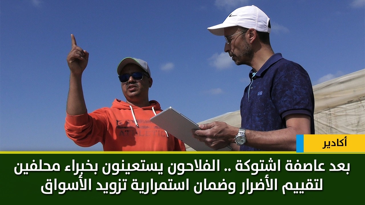 بعد عاصفة اشتوكة .. الفلاحون يستعينون بخبراء محلفين لتقييم الأضرار وضمان استمرارية تزويد الأسواق