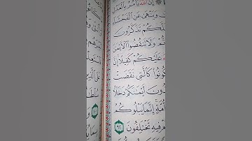 ما معنى كلمه "دخلا"#سورة #النحل