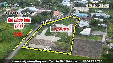 Bán đất mặt tiền đường Trường Bình Mỹ Lộc Cần Giuộc cũ , Tây Ninh 4.600m²