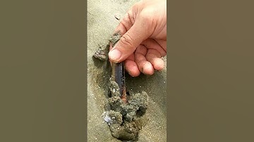 khách bắt cá thấy ham luôn - bao đăng bắt cá ở Đồi Nhái Vũng Tàu