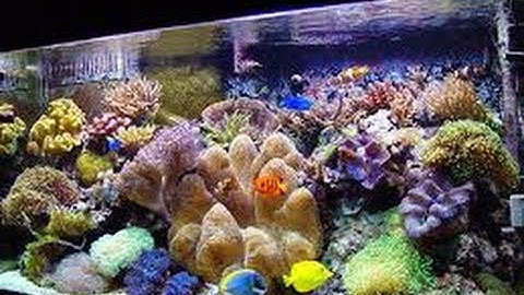 Tip of the day- silence that overflow