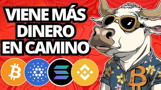 ✅APENAS ESTÁ EMPEZANDO😱Noticias Criptomonedas (HOY)Bitcoin Ethereum Solana Cardano BNB