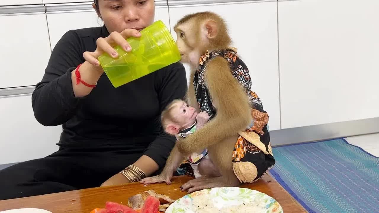 Like A Motherhood SARA Hug Comfort Baby Tauch Even Busy Having Food