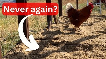 Best chicken run beddings | What to use and what NOT to use