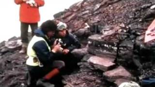 360 Million Year Old Tetrapod Acanthostega