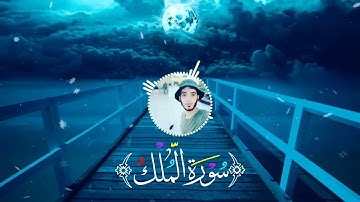 ألا يعلم من خلق وهو اللطيف الخبير || سورة الملك