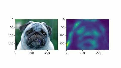 WHAT DOES A CNN VISUALIZE?
