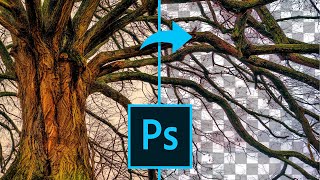 4 formas de QUITAR FONDO con Photoshop: ¡ZONAS IMPOSIBLES!