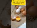 “Stop Wasting Eggs! 😳🥚” #DidYouKnow #FoodFacts #EggTips #lifehacks