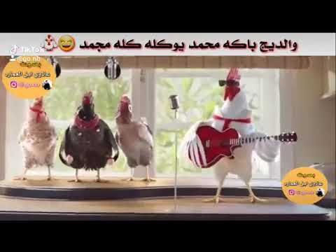 اشدراك