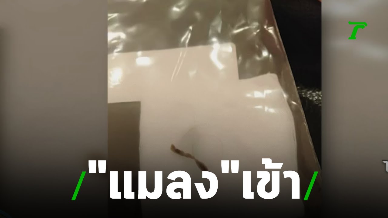   หีขวบ' เข้าช่องคลอดด.ญ. 5 ขวบ เลือดออก | 28-07-62 | ข่าวเช้าไทยรัฐ  เสาร์-อาทิตย์ - YouTube