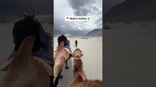 Ladakh Road Trip Must-Visit Spots 🏍️⛰️