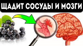 Давление будет 120х80! Главное запомни этот рецепт! Сосуды, снизить высокое давление