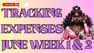 BUDGET WITH ME ● TRACKING EXPENSES ● 1ST 2 WEEKS OF JUNE ● CASH ENVELOPE CHECK IN ●PANDA 🐼 CHALLENGE