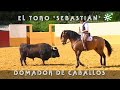 Diego Ventura y el toro Sebastián domador de caballos toreros del rejoneo | Toros desde Andalucía