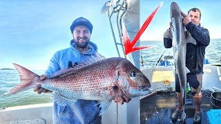 BIG Western Port Snapper & Gummy Shark Fishing