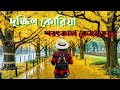 Colorful autumn on  south korea  chinmoy dutta  cb story vlogs  bengali travel vlogs