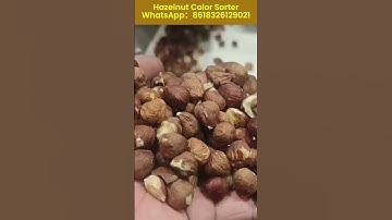Hazelnut Color Sorting Machine#hazelnut #hazelnuts #nutssort #nutshell #nutsmachine WA:8618326129021