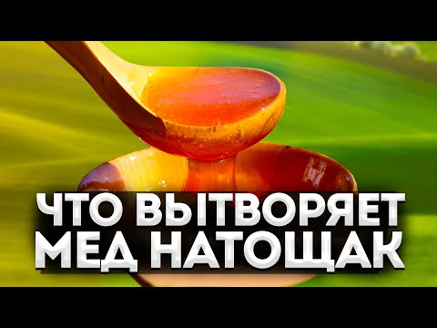 Если каждый день натощак съедать 1 ложку мёда!? Вот что случится