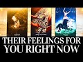 PICK A CARD💓😍 Their FEELINGS For You RIGHT NOW! 😍💓 They want you to know THIS! 🌟 Love Tarot Reading