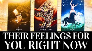 PICK A CARD Their FEELINGS For You RIGHT NOW!  They want you to know THIS!  Love Tarot Reading