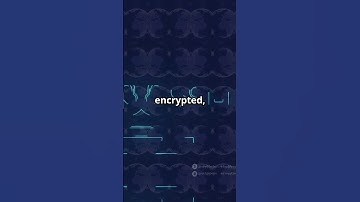 SSL Stripping  #cybersecurity #hackers #ethicalhacking #pentest  #informationsecurity #dataprivacy