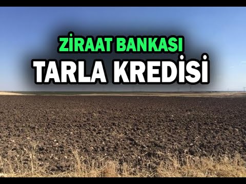 Video: Bir Sübvansiyon Ile Kredi Nasıl Alınır