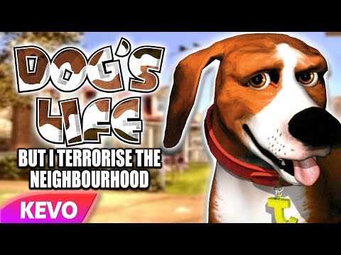 dog