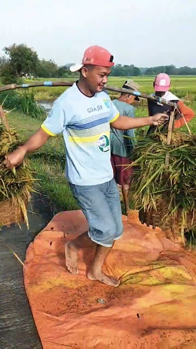 bukan idamanmu
