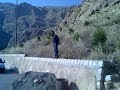 فریبرز نامداری 