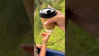 Kızlar Ayıyı Görünce Öyle Bir Çığlık Attı Ki Ayı Bile Kaçtı 😂🐻 #shorts #viralvideo #trending